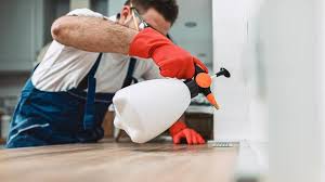 Best Real Estate Pest Inspections  in Chittenango, NY